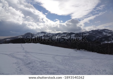 peisaj iarna 2021 Obarsia Closani Imagine de stoc © 