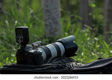 Canon Nature Images, Stock Photos | Shutterstock