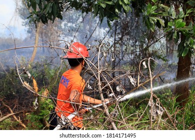 Pekanbaru, Indonesia. 15 December 2016: Firefighters Assisted By TNI Personnel To Extinguish Peatland Fires.