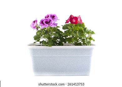 59,209 Balcony planting flower Images, Stock Photos & Vectors ...