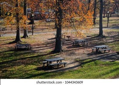 Pelham Bay Park, The Bronx, New York, NY, USA: Picnic Tables Beneath Trees In Fall Foliage On A Sunny November Day.