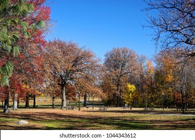 Pelham Bay Park, The Bronx, New York, NY, USA: Picnic Tables Beneath Trees In Fall Foliage On A Sunny November Day.