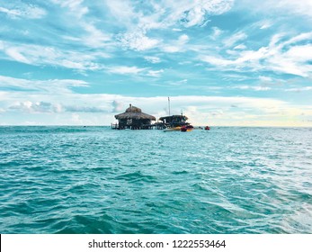 Pelican Bar In The Sea Jamaica