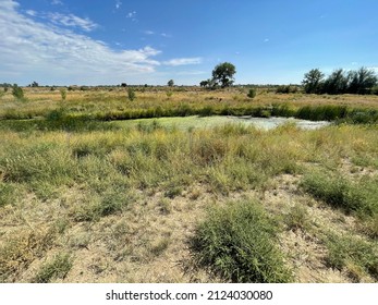 Pelican Ponds Open Space In Thornton, Colorado