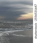 Pelicans flying over a beach in Flordia