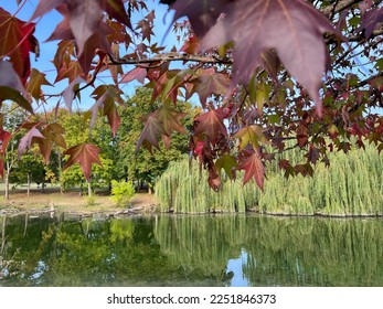 Pellerina park in Turin panoramic pond. High quality photo - Shutterstock ID 2251846373