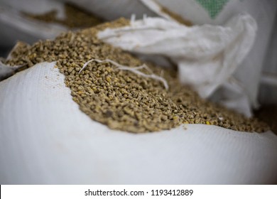 Pellet feed for Poultry feed on PP Bag (selection focus)