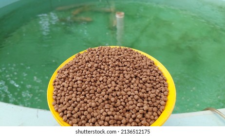 Pellet Fish Food Is Ready To Be Given To The Fish In The Pond