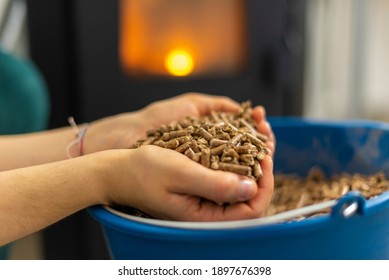 Pellet (fuel For Biomass Stoves).