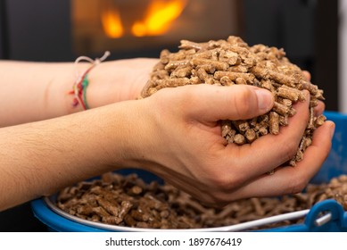 Pellet (fuel For Biomass Stoves).