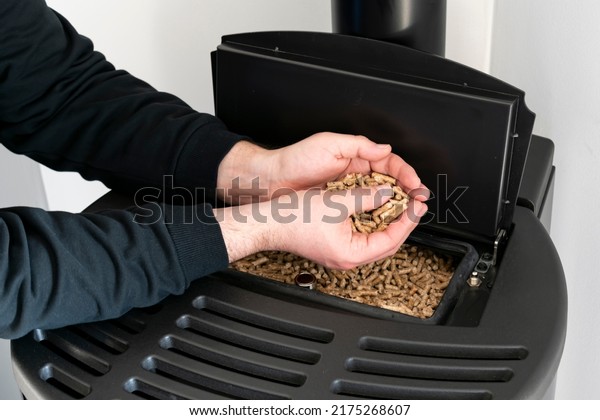 Pellet stove, man holding granules in his hand\
above a modern black\
stove