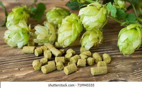 Pelleted and fresh hop on wooden rustic table. Perfect for beer craft