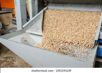 Pellets fly out of the machine. Production of pellets.