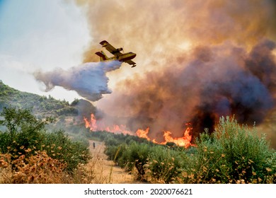Peloponnese, Greece, 05 August 2021: A firefighting plane releases its load of water as it tries to extinguish a fire in Xelidoni village in the area of Ancient Olympia