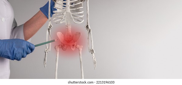 Pelvis, Pelvic Bone Trauma, Injury And Pain Concept On Background With Copy Space. High Quality Photo