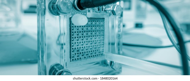 Pem Fuel Cell In Lab