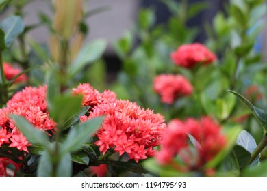 1000 Pemandangan Alam Pictures Royalty Free Images Stock Photos