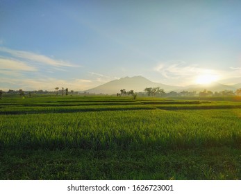 Pemandangan Pagi Images Stock Photos Vectors Shutterstock