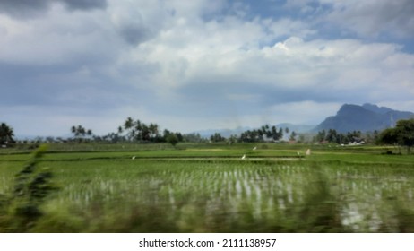 Pemandangan Sawah Images Stock Photos Vectors Shutterstock