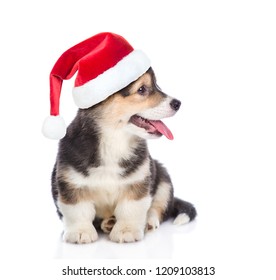 895 Corgi santa hat Stock Photos, Images & Photography | Shutterstock