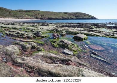 Pembrokeshire Coastline With Rock Pools At Manorbier Beach South Wales