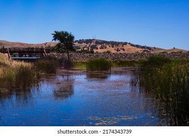 Pena Adobe Lagoon In Solano County, CA