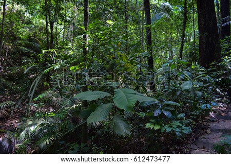 Penang National Park Taman Negara Pulau Stock Photo Edit