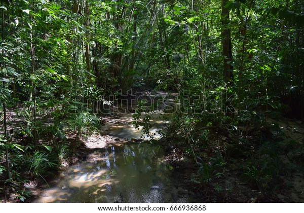 Penang National Park Taman Negara Pulau Stock Photo Edit