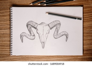 Pencil drawing of a goat skeleton on a sketchpad.