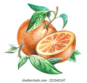 orange color pencil drawing