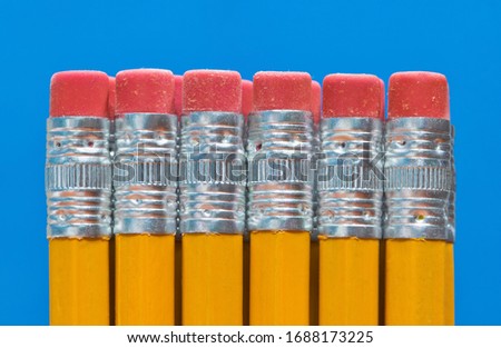 Pencil ends with eraser tips lined up in a straight line in front of a blue background. Macro abstract close up.