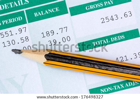 Pencil with the statement of payroll details