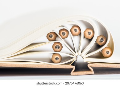 Pencils as Bookmarks Between the Sheets of Notebook Close-up