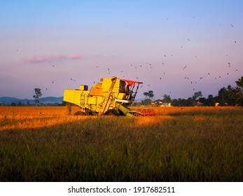 Sunset Kedah Images, Stock Photos u0026 Vectors  Shutterstock