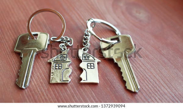 Pendant of key ring in shape
of house divided in two parts on wooden background, closeup view.
Dividing house when divorce, division of property and real
estate.
