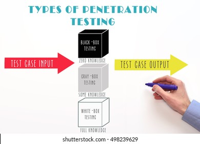 penetration testing types: white box, gray box and black box testing. 