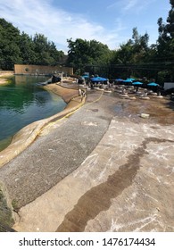 Penguin Enclosure At The Zoo