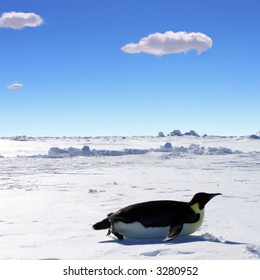 662 Penguins sliding on ice Images, Stock Photos & Vectors | Shutterstock