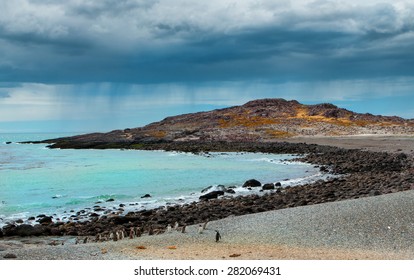 Penguin island in Patagonia, changeable south rainy weather, Argentina 