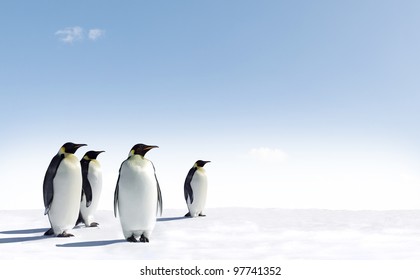 Penguins In Antarctica