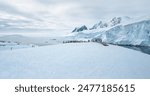 Penguins nesting on Antarctica coastline. Sea birds colony stand together on top of snow covered hill rock. Polar wildlife penguins behaviors in cold environment. Antarctica travel and exploration