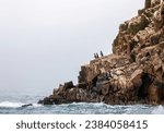Penguins on the rocks. Ballestas Islands (Paracas) .Peru