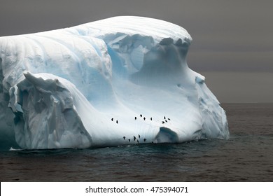 Penguins Trying To Jump To The Iceberg In The Drake Passage