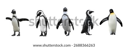 Penguins. using their flipper-like wings to propel themselves through water while hunting for fish, squid, and krill.