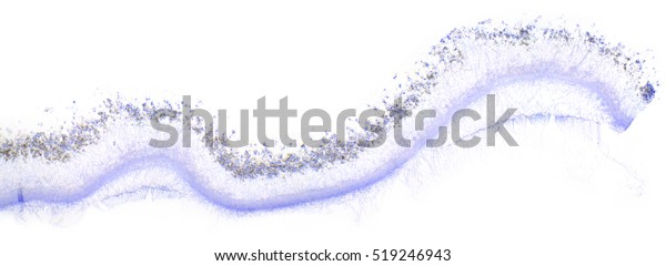 Penicillin Under Microscope Penicillium Wm Full Stock Photo Edit Now 519246943