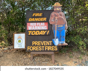 Penn Valley, California - 2020: Sign With Smokey The Bear Reads Fire Danger Red Flag Warning Today. Prevent Forest Fires. Firewise Communities. The Fire Danger In Northern California Remains High.