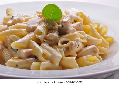 Penne Pasta With White Sauce