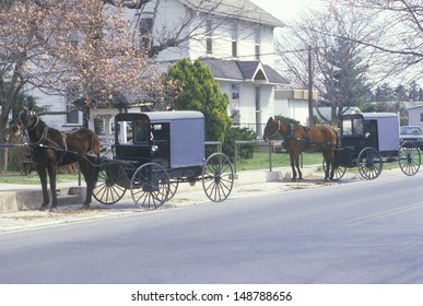 PENNSYLVANIA - CIRCA 1980's: Two Horses And Carriages In An Amish Farming Community, PA