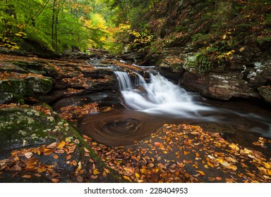 Pennsylvania Ricketts Glen State Park Allegheny Mountain Waterfall Autumn Scenic