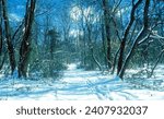 Pennypack Park Trail in Winter Snow, Philadelphia, Pennsylvania, 2000